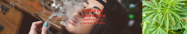 экстази Богородицк
