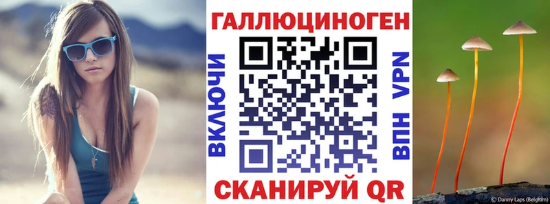 blacksprut ONION  Павловск  Галлюциногенные грибы Magic Shrooms 
